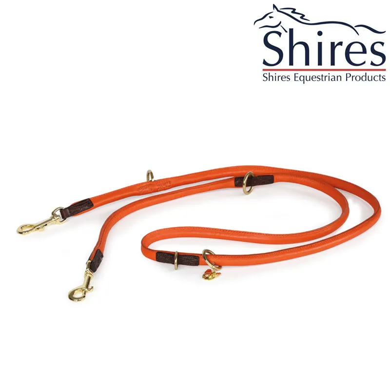 Digby and Fox Rolled Leather Training Dog Lead - Orange
